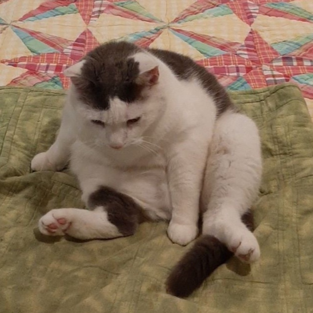 Meet your Posher, Isabelle